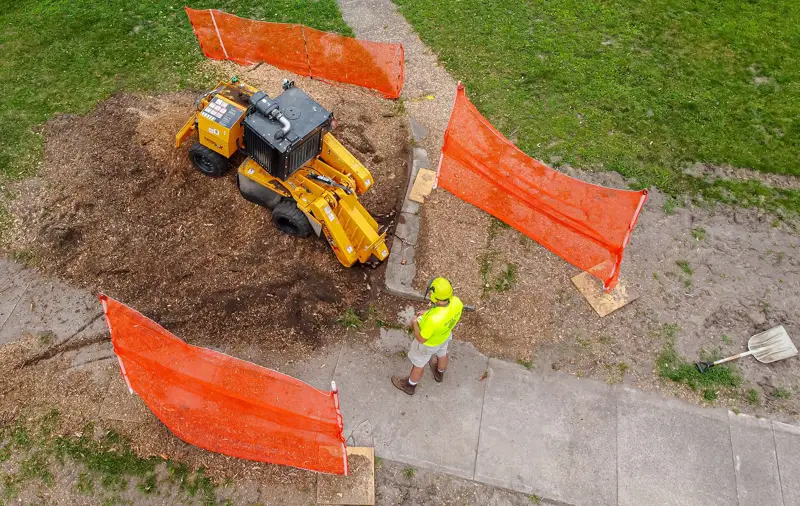 Compact stump grinder working inside a fenced area