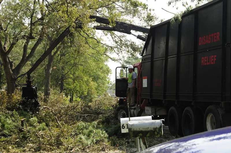Crew handling downed tree debris